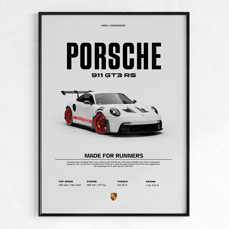 Quadro Decorativo Porsche 911 GT3 RS - GTSQ3